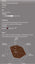Coffee Beans Extra Bar CLASSIC
