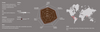 Coffee Capsules Extra Bar MILD