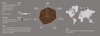 Coffee Capsules Golden Sack